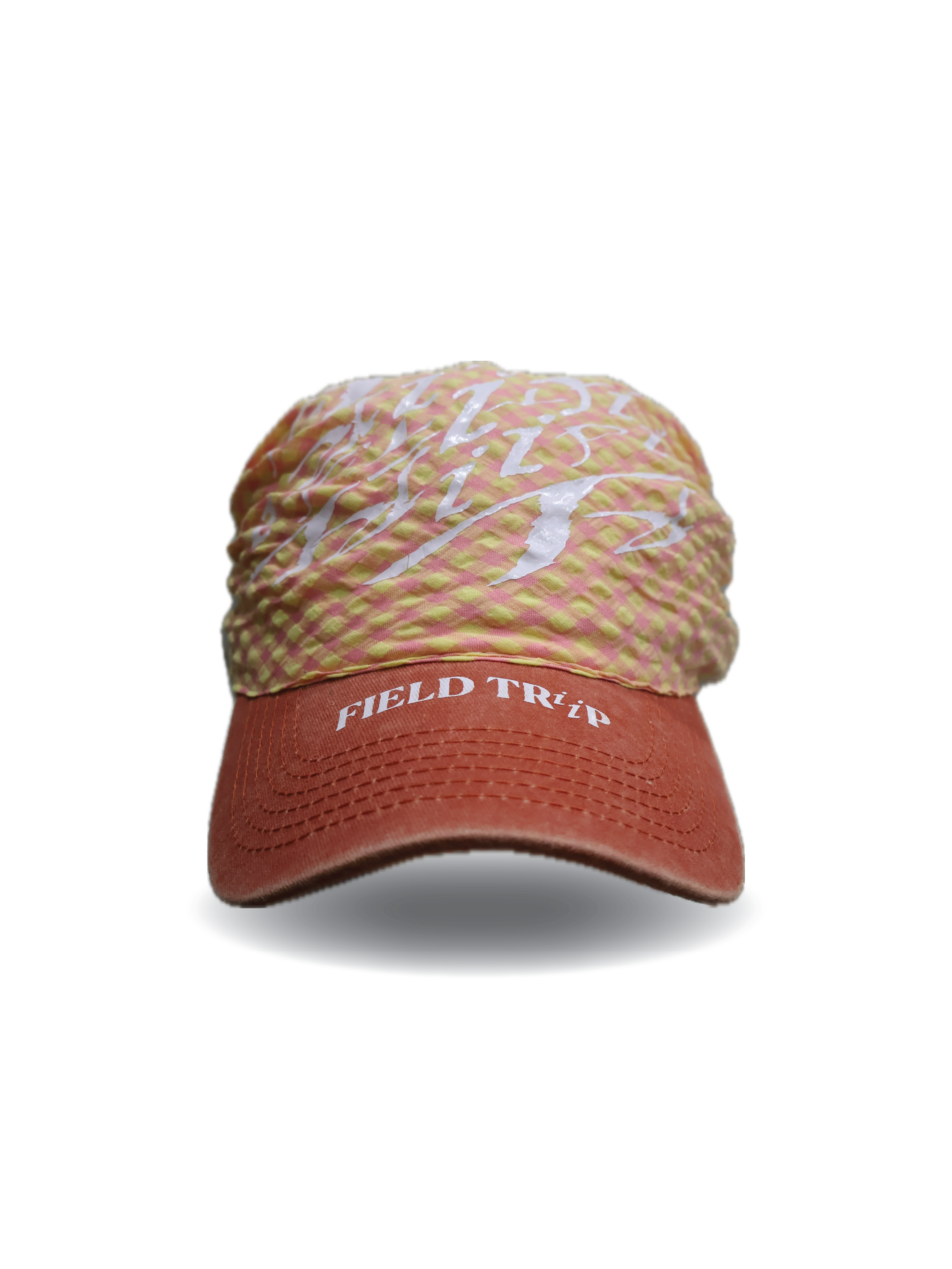 Wayfarer Cap - Citrus