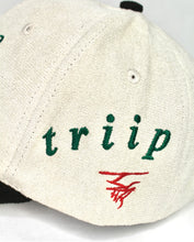 Load image into Gallery viewer, Scout Suede Profile Cap - MILWAUKEE